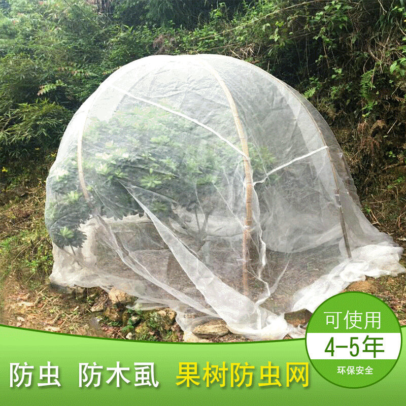 供应防虫网罩杨梅罩果树防虫网罩柑桔防虫网蚊帐式防虫罩