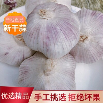 干蒜大蒜紫皮大蒜头新蒜