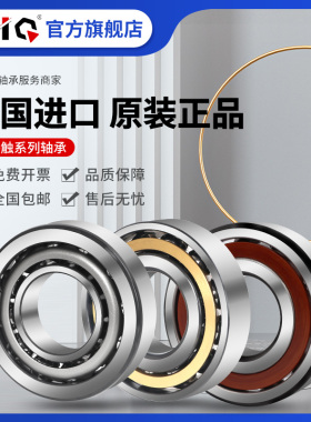 进口EIQ轴承7018 7019 7020 7021 7022 7024 A AC C ACD CDGA/P4A