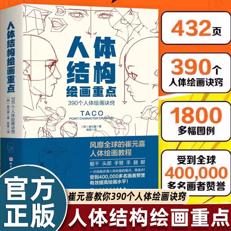 人体结构绘画重点 人体绘画诀窍人物画法入门经典 崔元喜taco 人体结构绘画教程 躯干头部手臂手腿脚人体解剖学肌肉比例 绘画技巧图片