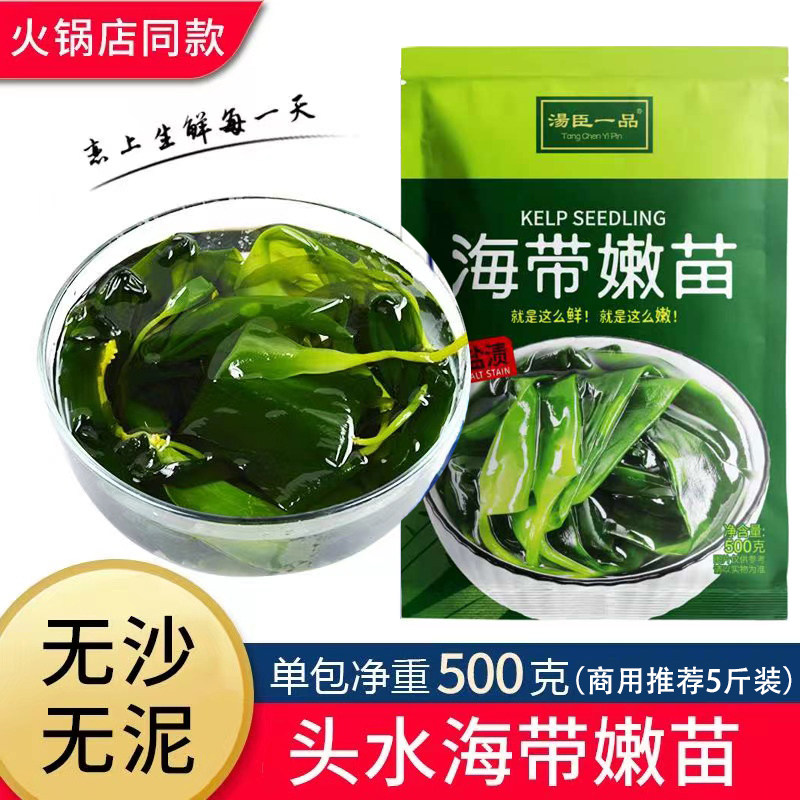 汤臣一品海带苗嫩盐渍小海带苗火锅商用食材嫩苗非新鲜非干货