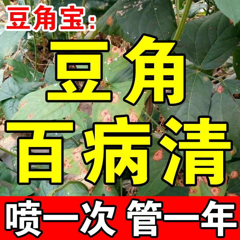 豆角病毒病专用药黄叶病锈病四季豆拉长直荷兰豆芸豆病菌清水溶肥
