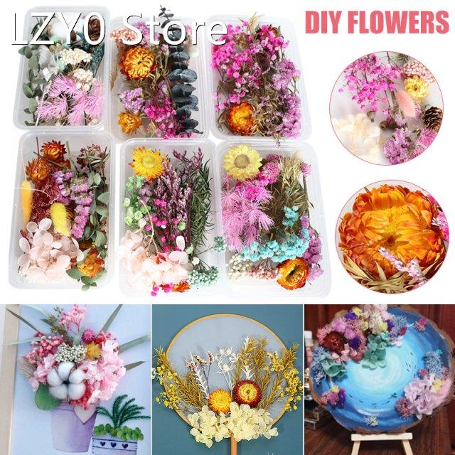 Real Dried Flower Plants For DIY Accessories Multiple Floral