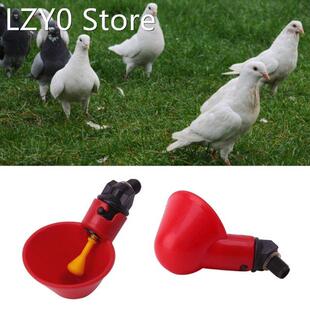 Poultry Water Drinking s Plastic Poultry Chicken Hen Bird Au