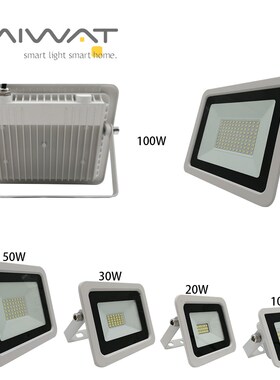 LED Floodlight 10W 20W 30W 50W 100W Led Flood Light White Sp