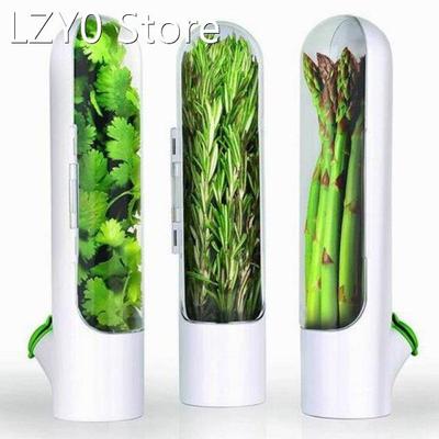Multifunction Refrigerator Fruit Vegetable Crisper Vanilla F