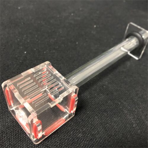 New Mini 1pcs Glass Tubes Ant Nest with Active Zone Granja d