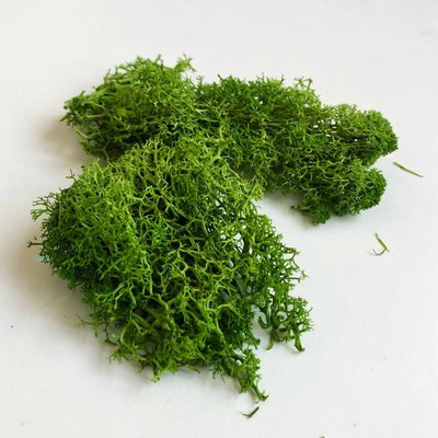 30G Lichen Moss cluster for bushes,model trees foliage scale