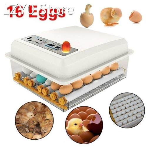 110V/220V Eggs Incubator Brooder Bird Quail Chick Incubator