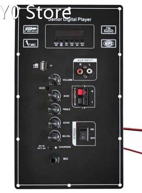 12V 9V Digital Bluetooth Stereo Amplifier Board Dual Microph