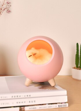 Creative small pet house atmosphere lamp New USB portable ch