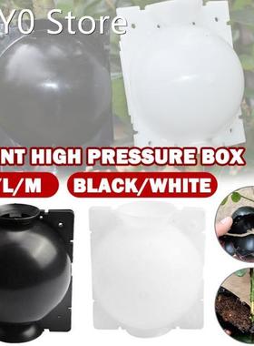 Plant Rooting Ball Grafting Rooting Growing Box Breeding Cas