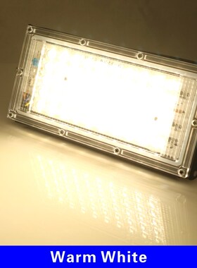 50W Led Flood Light AC 220V 230V 240V Outdoor Floodlight Spo