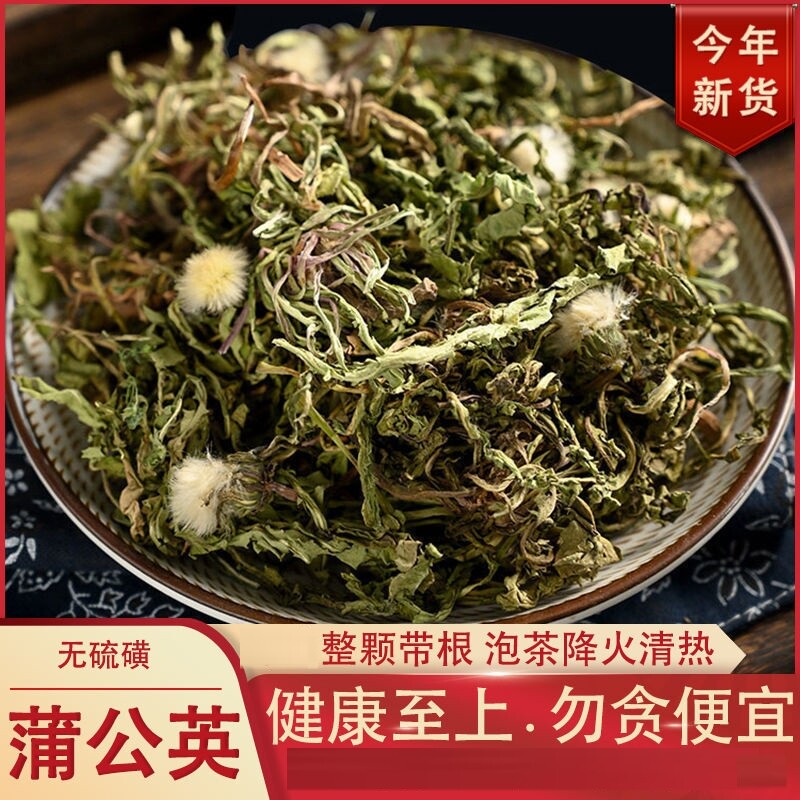 新鲜蒲公英茶带根500g克简装晒干的浦公英跟叶子中草药官方旗舰店