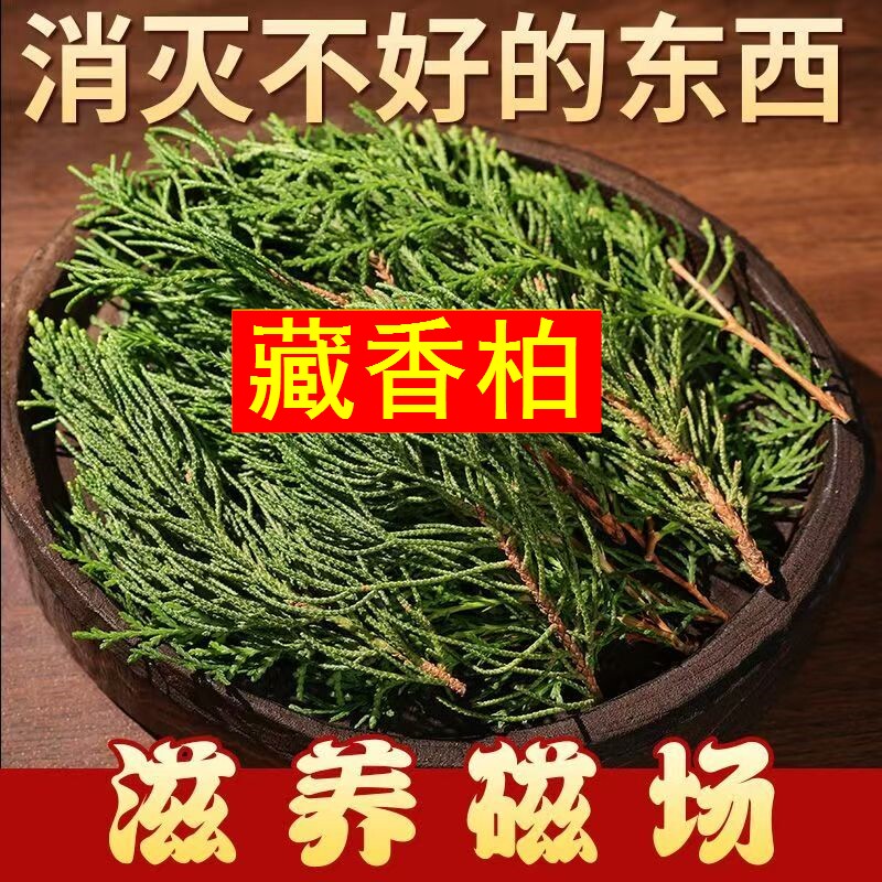 正宗西藏藏香柏枝叶供火