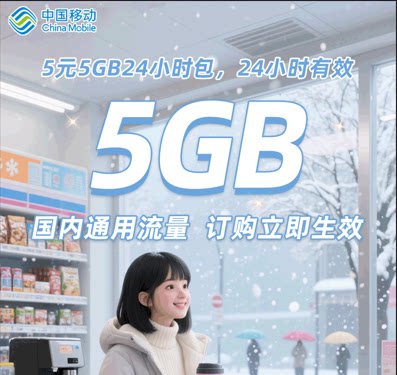 山东移动 5元5GB24小时包