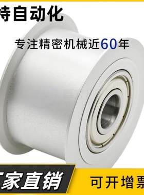 同步惰轮EVF31-W32-D45AFDF两边轴承有挡边ENG02皮带轮光轮