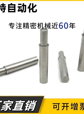 ZAS11-D1.5/D2/D3/D4/D5-H1.5/H3/H4/H6/H8/H9/H12柱塞