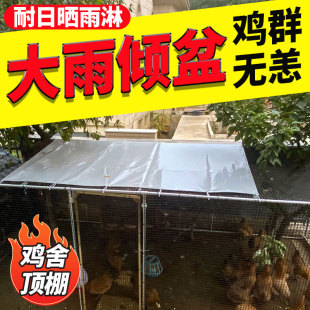 室外养鸡专用笼防水防晒遮雨布雨棚户外养鸡棚防雨防水布遮阳篷布