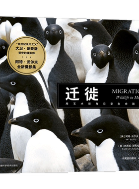 迁徙MIGR ATIONS 动物迁徙影像