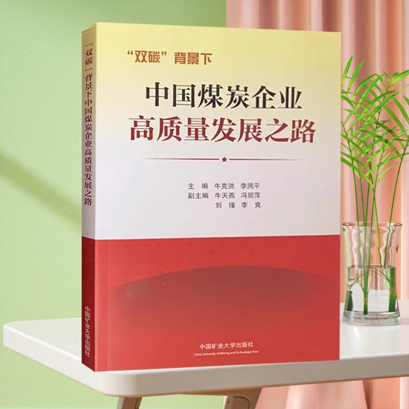 双碳背景下中国煤炭企业高质量发展之路 中国矿业大学出版社