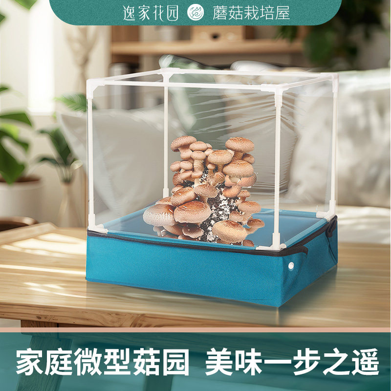 蘑菇种植屋保温棚多肉植物保湿保暖棚乌龟蛇爬宠动物过冬冬眠箱棚
