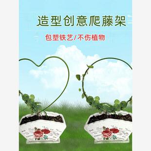 室内铁艺圆形心形雪莹山乌龟甲龙蝴蝶兰造型花架爬藤架子植物支架