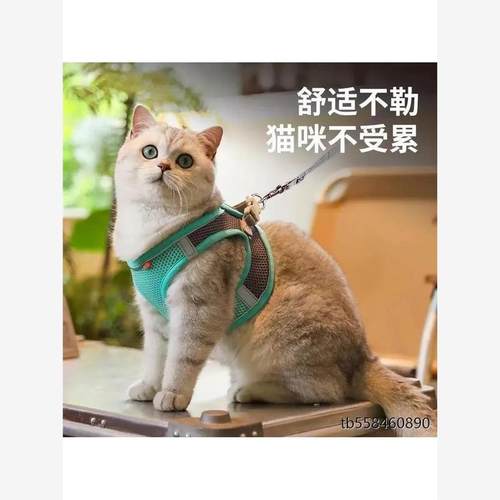 蓝猫牵引绳背心胸背可调节英短蓝白猫遛猫绳子防挣脱专用外出链子