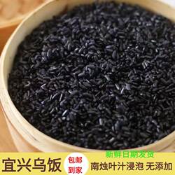 宜兴特产乌米饭1500g乌米纯糯米加南烛叶汁包粽子酒店点心包邮