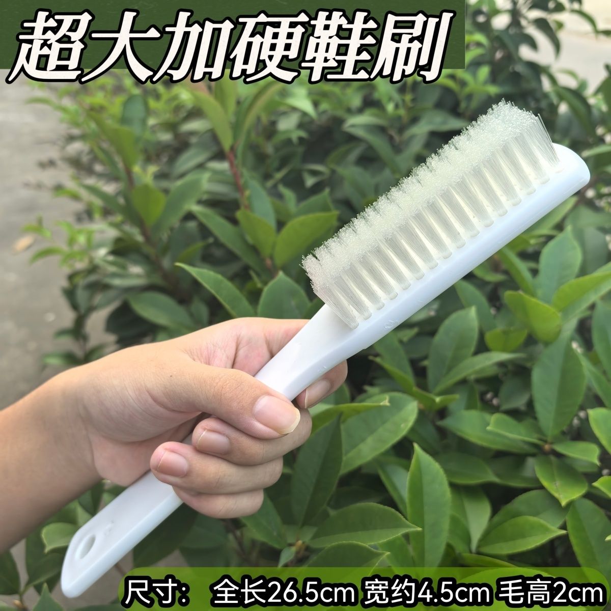 特硬超硬耐用毛刷超大加图片