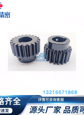 VNR43-3.0-27-B30-B-P12N P19N P20N P21N P30N P42N直齿轮