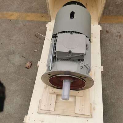 议价西门子茵梦达国产电机1LE0001 3-1DD23-3AA4