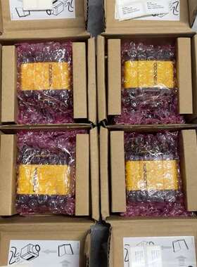 议价康耐视DM303X