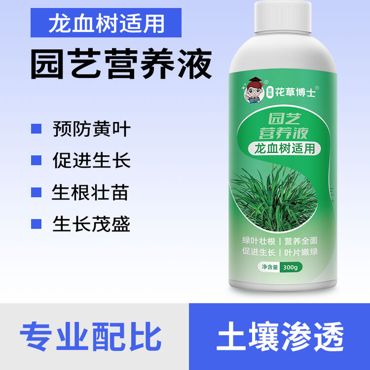 花草博士龙血树专用营养液龙须树肥料盆栽室内绿植花肥防治黄叶