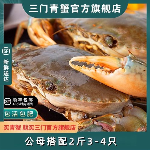 包肥包活青蟹三门青蟹顺丰包邮
