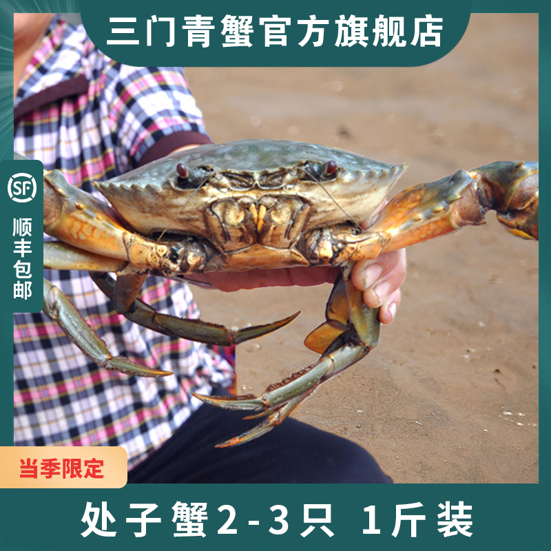 三门青蟹正宗官方 鲜活肉蟹水产海鲜特大螃蟹母蟹处子蟹 1斤2-3只