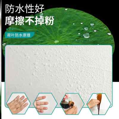 5合1自喷漆 墙面自喷漆家用墙面覆盖发霉发黄白色补墙漆LK22