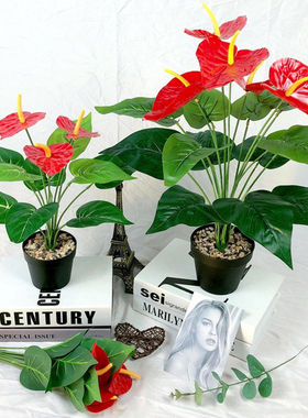 仿真植物红掌假花束客厅室内装饰盆栽摆设塑料绿植假花小盆景摆件