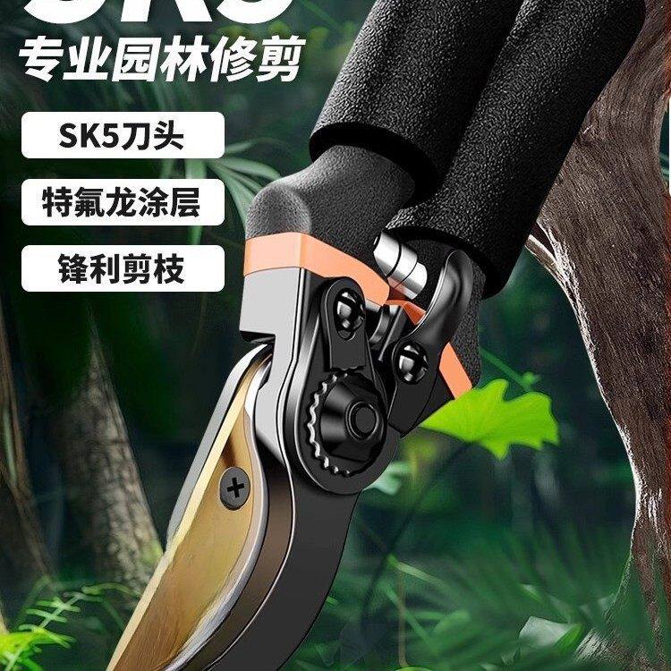 剪枝剪刀省力园林花艺剪多功能果树修剪专用粗大枝剪园艺工具图片