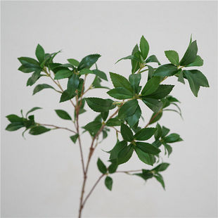 马醉木仿真日系绿植叶子样板房玄关阳台装饰植物假花拍照道具