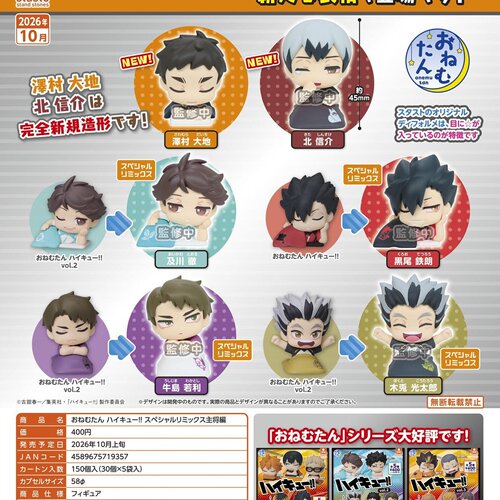 11月日本STASTO排球少年队长款新色睡姿摆件 小手办收藏玩具扭蛋