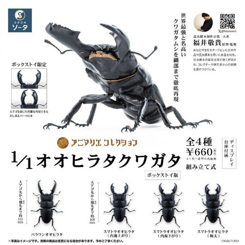 现货日本SO-TA苏门答腊巨扁楸型虫 甲虫昆虫模型收藏摆件扭蛋