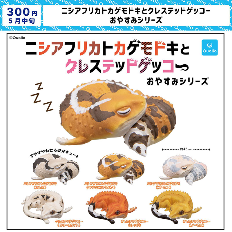 现货 日本Qualia 睡眠的守宫3 睡觉的爬虫蜥蜴摆件 玩具扭蛋