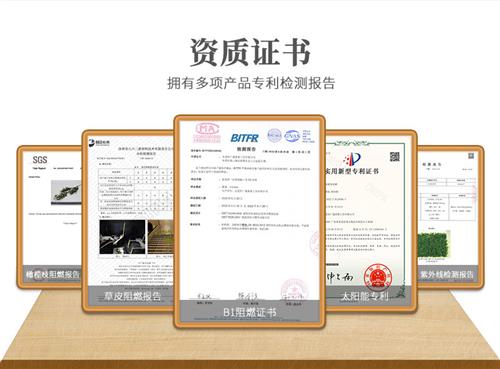 仿真可可树工厂定制西式餐厅咖啡馆装饰热带植物果树盆栽假咖啡树