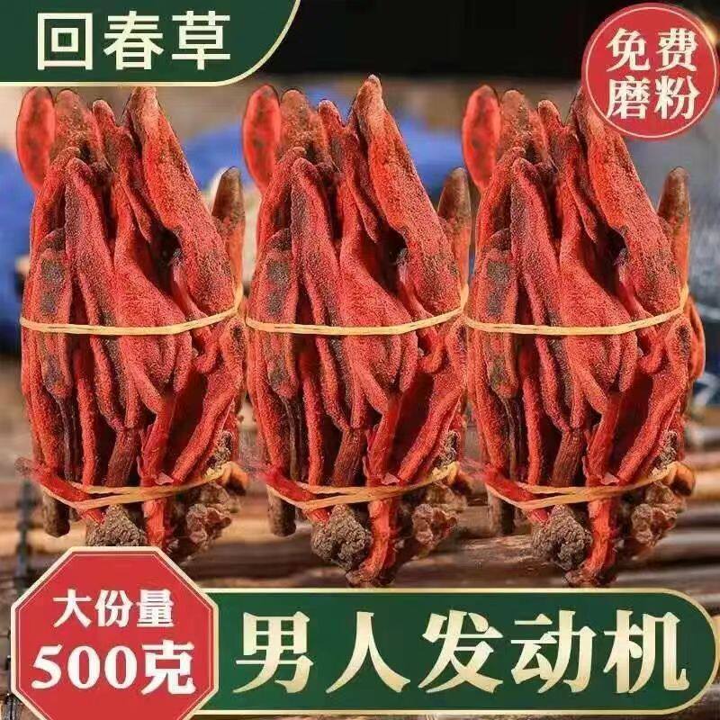 正宗新货云南回春草500g克官方正品店泡水泡酒非野生顶天柱中药材