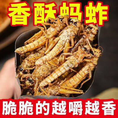 蚂蚱油炸即食蚱蜢熟食低脂炸金蝉高蛋白下饭菜养生零食休闲下酒菜