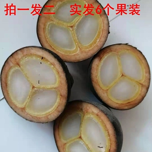 越南新鲜追风果野生刺虎鲜果纯天然泡酒大果36个装 新鲜采摘 包邮