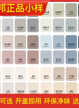 立邦室内自刷翻新修补墙面乳胶漆