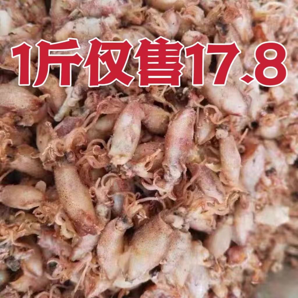 小海兔干货500g海兔子干海鲜小鱿鱼仔乌贼笔管鱼非即食墨鱼干