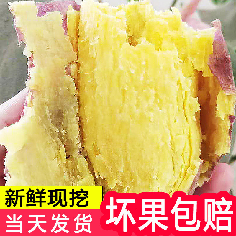 板栗红薯10斤山芋现挖香甜黄心